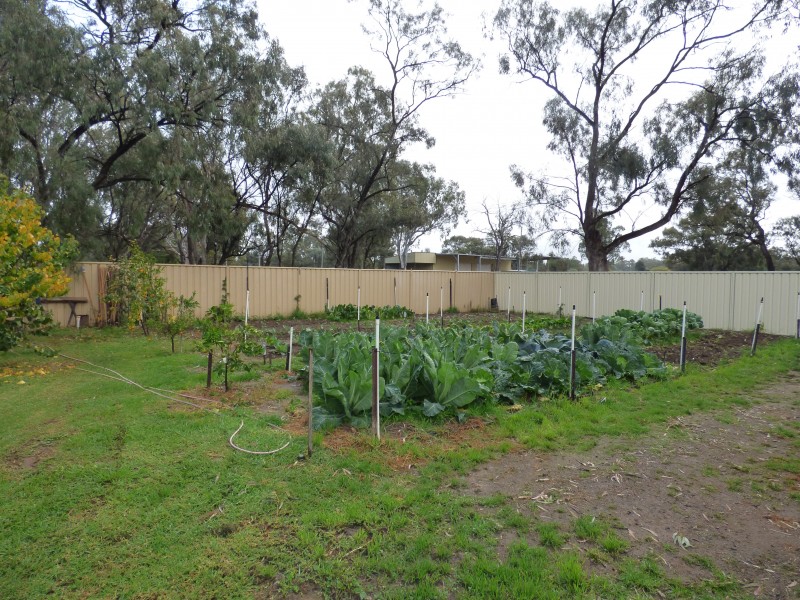 29 Carrington Street, Darlington Point NSW 2706