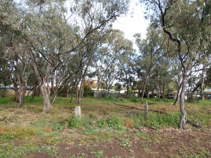 29 Carrington Street, Darlington Point NSW 2706