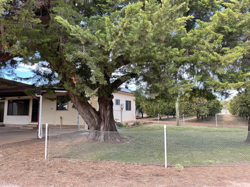 1858 Scott Road, Lake Wyangan NSW 2680