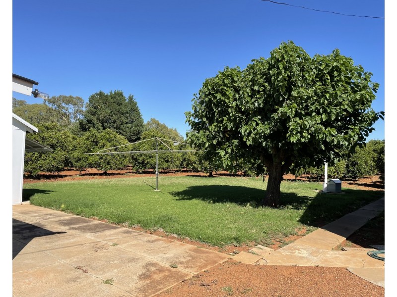 148 Walla Avenue, Griffith NSW 2680