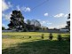 76 Henry Street, Yenda NSW 2681