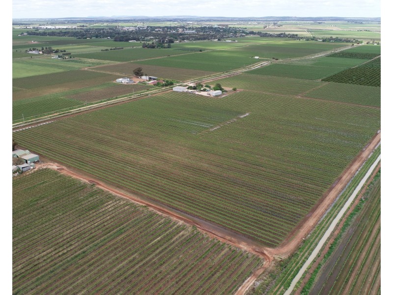 1356 Rodgers Road, Yenda NSW 2681