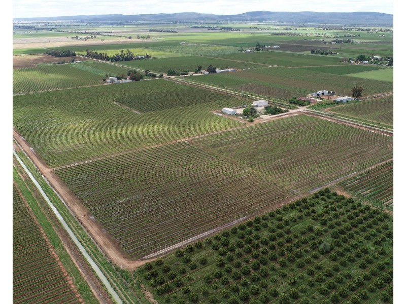 1356 Rodgers Road, Yenda NSW 2681