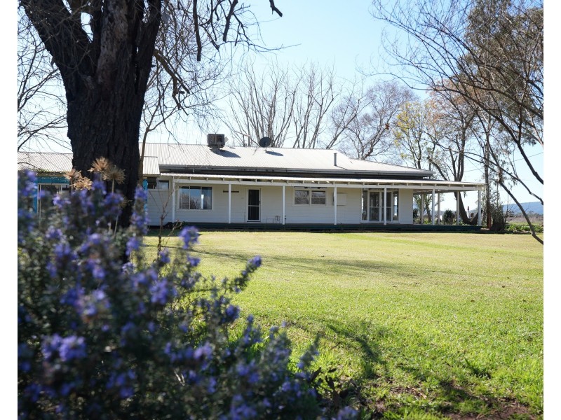 101 Pratt Road, Yenda NSW 2681