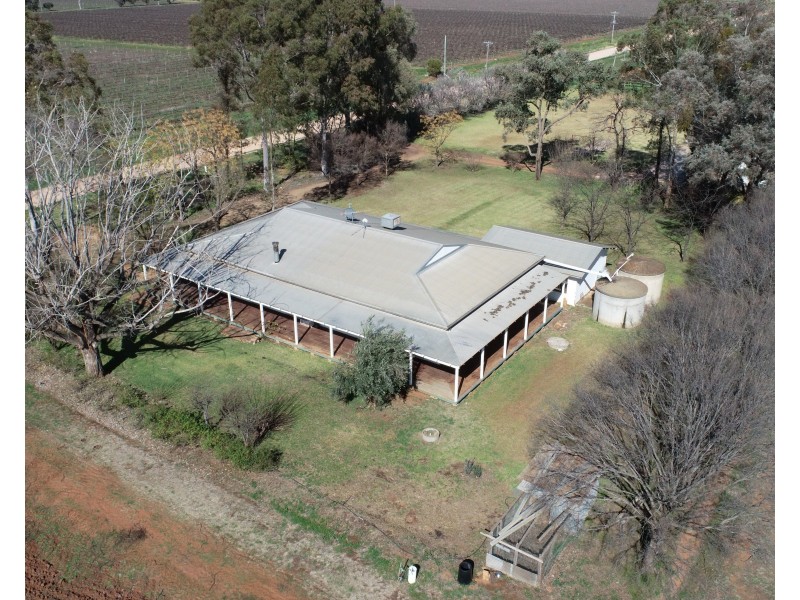 101 Pratt Road, Yenda NSW 2681