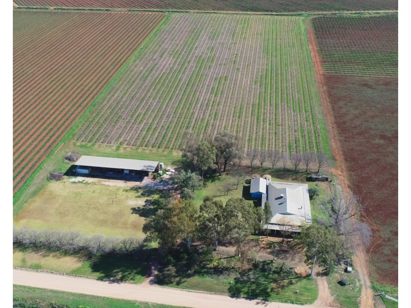 101 Pratt Road, Yenda NSW 2681