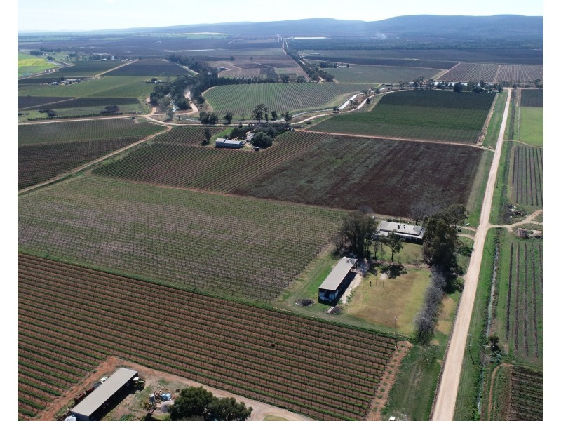 101 Pratt Road, Yenda NSW 2681