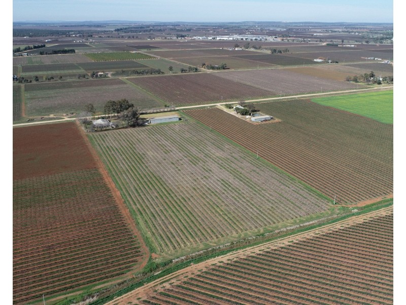 101 Pratt Road, Yenda NSW 2681