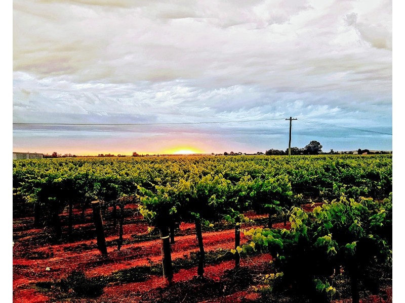 101 Pratt Road, Yenda NSW 2681