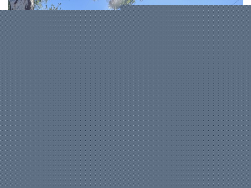 23 Sangster Crescent, Hanwood NSW 2680