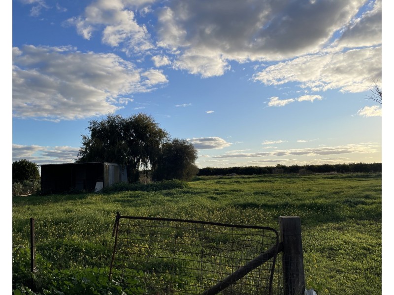 37 Collins Road, Griffith NSW 2680