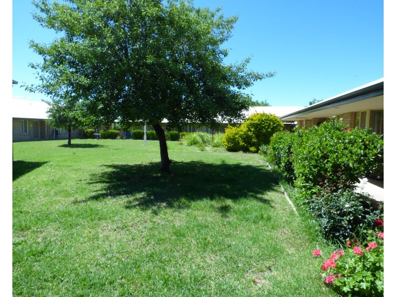 3/115 Clifton Boulevard, Griffith NSW 2680