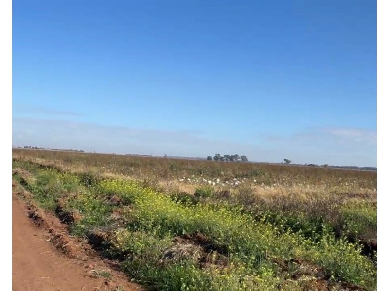 265 Swales Road, Bilbul NSW 2680