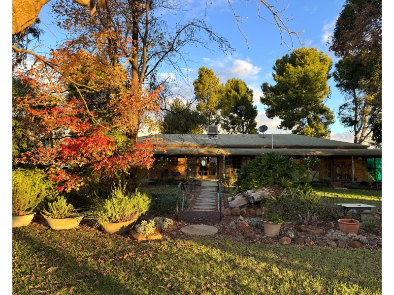 103 Myall Park Road, Yenda NSW 2681