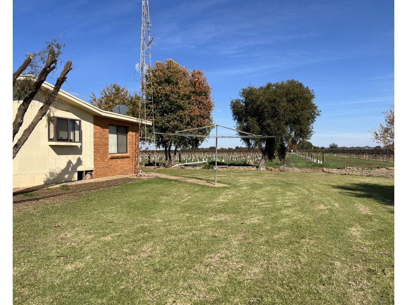 805 Wood Road, Yenda NSW 2681