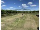 1341B Myall Park Road, Yenda NSW 2681