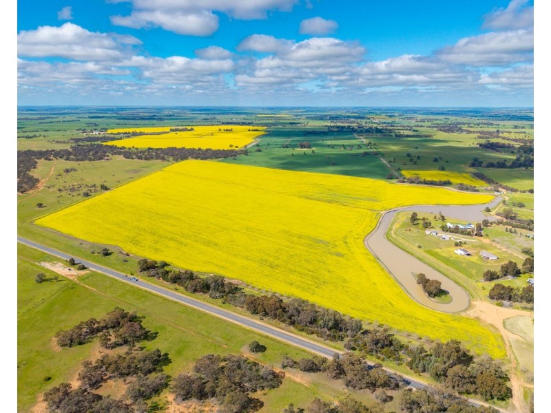Lot 5 and 6 DP270108 Conargo road,, Deniliquin NSW 2710