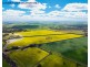 Lot 5 and 6 DP270108 Conargo road,, Deniliquin NSW 2710