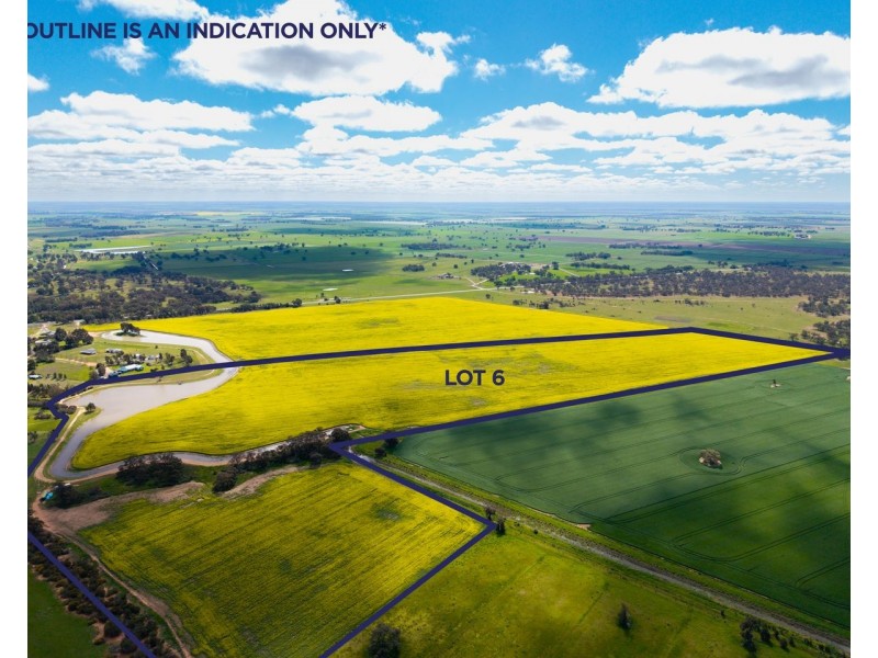 Lot 5 and 6 DP270108 Conargo road,, Deniliquin NSW 2710