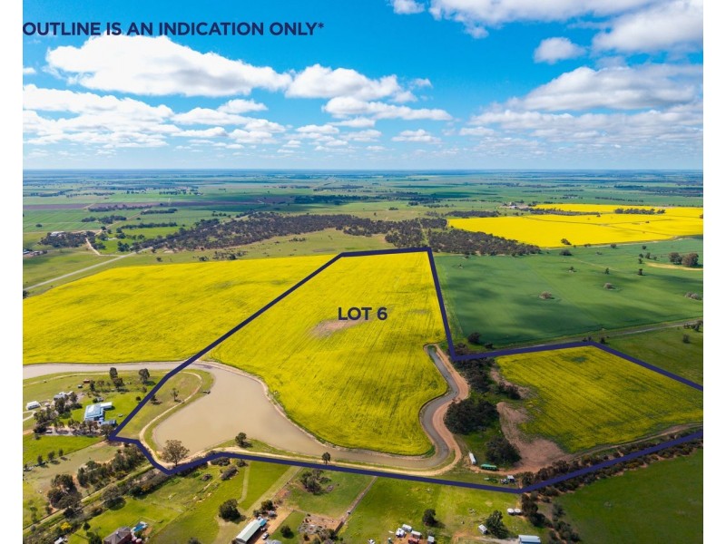 Lot 5 and 6 DP270108 Conargo road,, Deniliquin NSW 2710