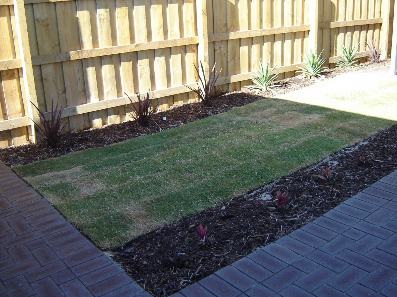 57 Sirius Ramble, Quinns Rocks WA 6030