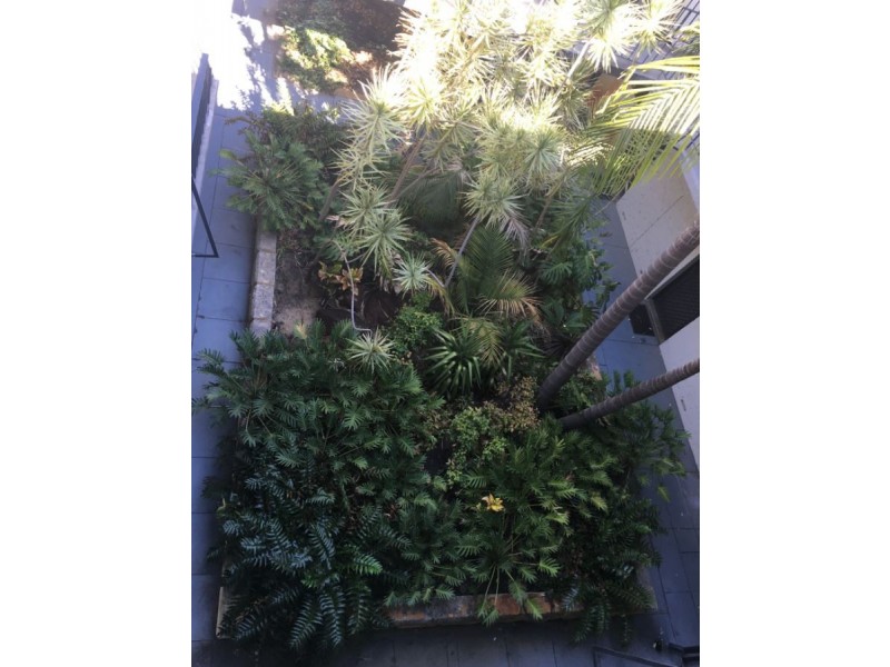 43 First Avenue, Mount Lawley WA 6050