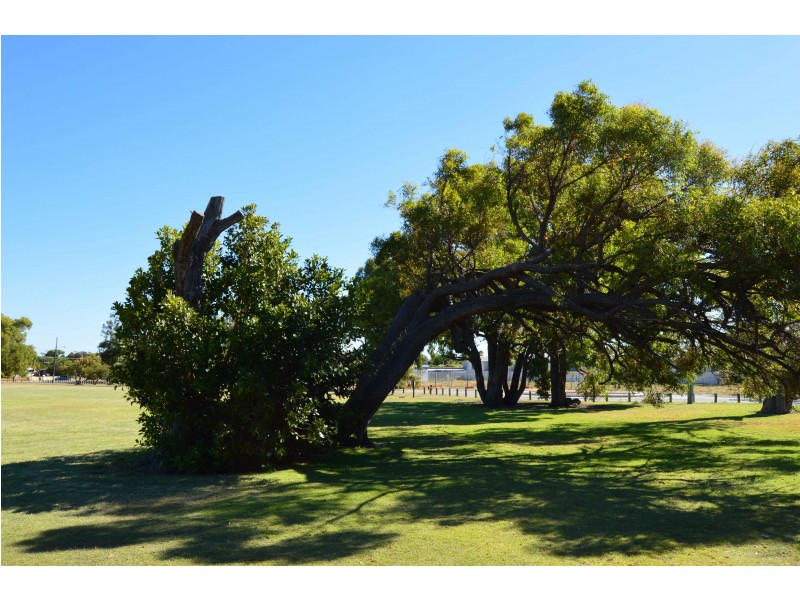 35 Cumberland Rd, Forrestfield WA 6058