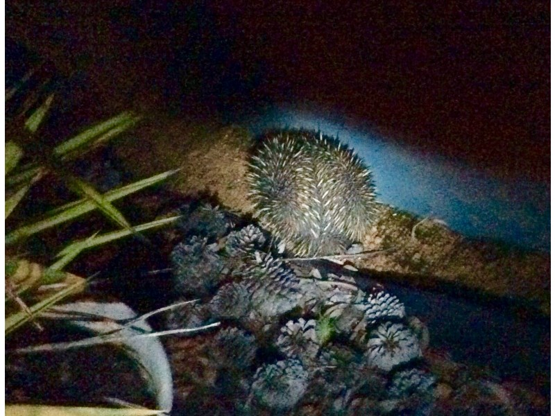 64  Hidaway Drive, Bindoon WA 6502