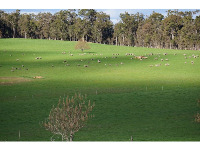 Misty Valley Views Martin Place, Mullalyup, Balingup WA 6253