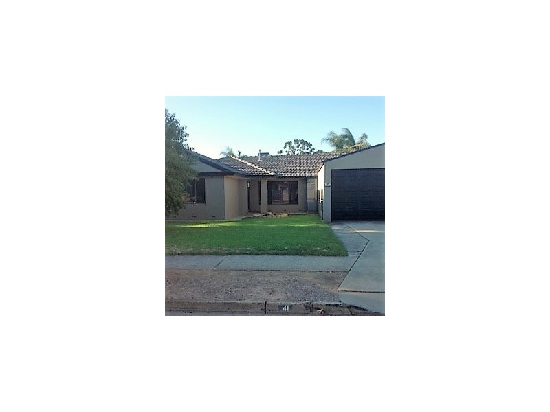 41 Norfolk Road, Marion SA 5043