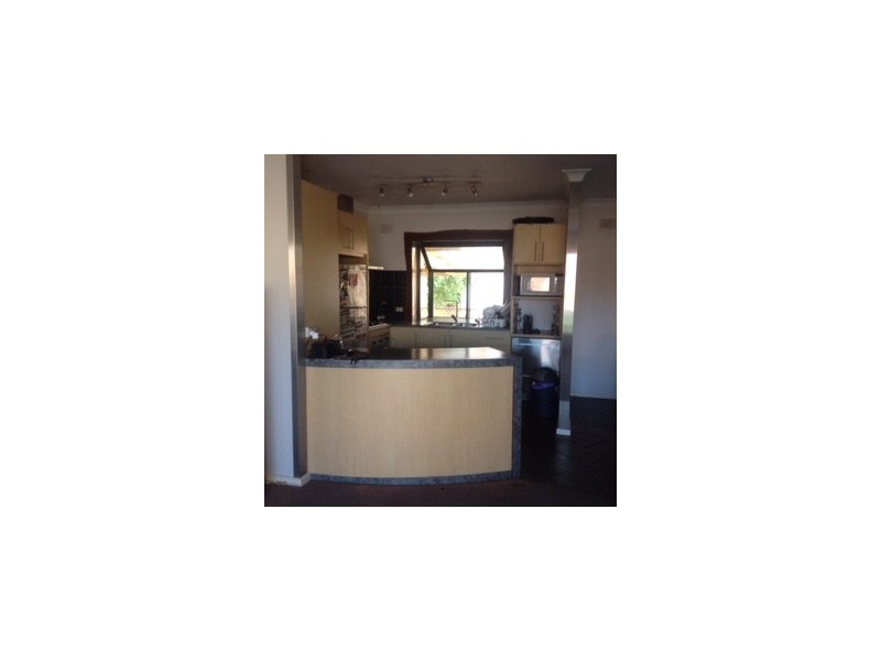 41 Norfolk Road, Marion SA 5043