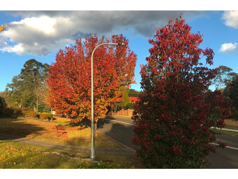 38 First Farm Drive, Castle Hill NSW 2154