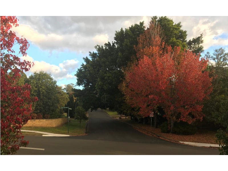 38 First Farm Drive, Castle Hill NSW 2154