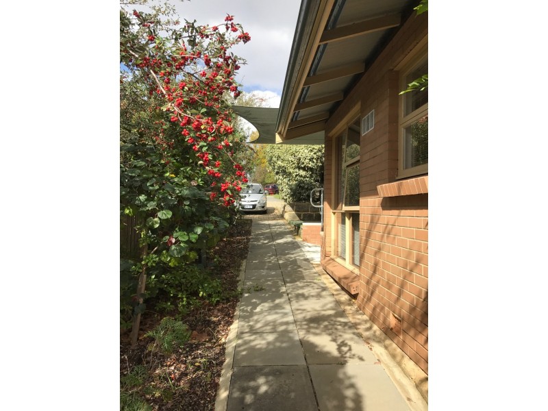 4/33 Troy Terrace, Daglish WA 6008