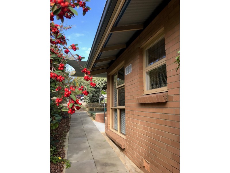 4/33 Troy Terrace, Daglish WA 6008