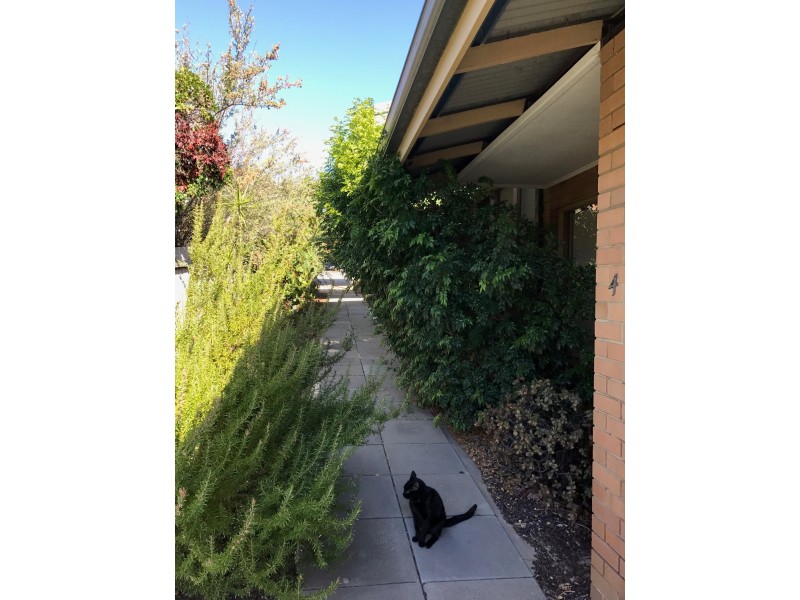 4/33 Troy Terrace, Daglish WA 6008