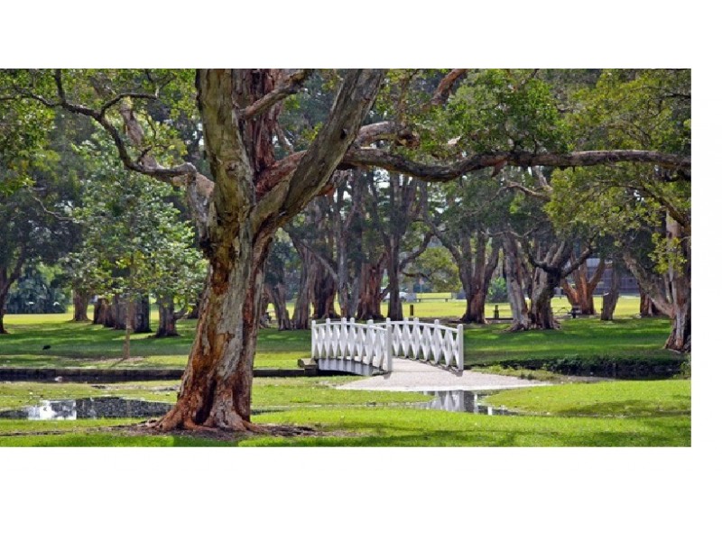 48/49-51 Cook Road, Centennial Park NSW 2021