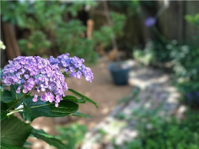 92 Wolfe Street, The Hill NSW 2300