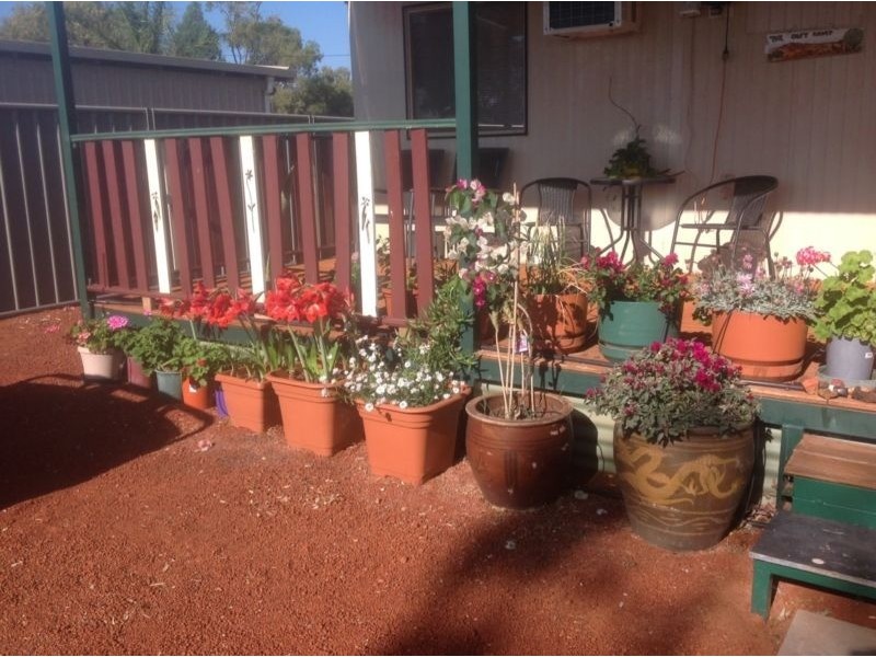 3 Payne Street, Sandstone WA 6639