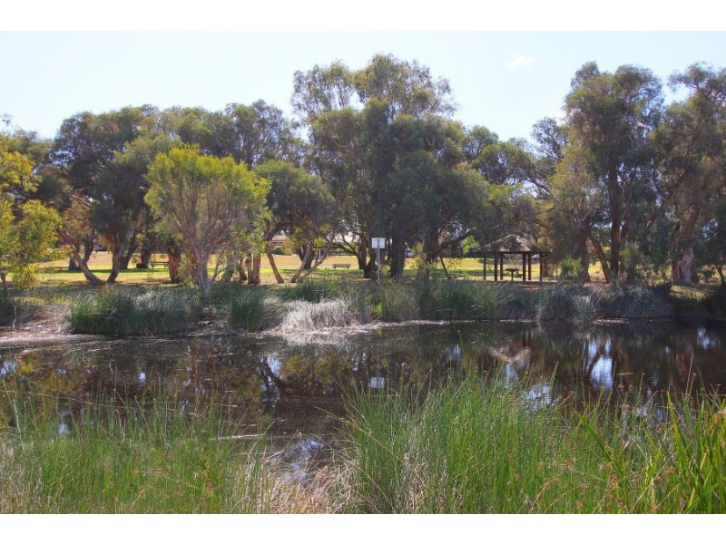 38 Gibson Way, Beechboro WA 6063