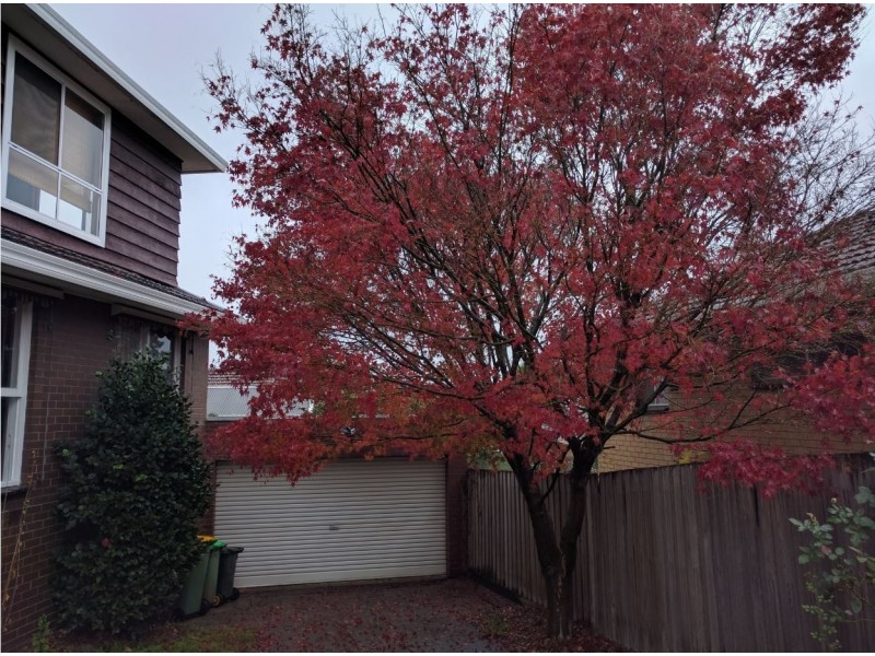 11 Eamon Drive, Viewbank VIC 3084