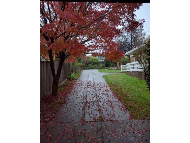 11 Eamon Drive, Viewbank VIC 3084