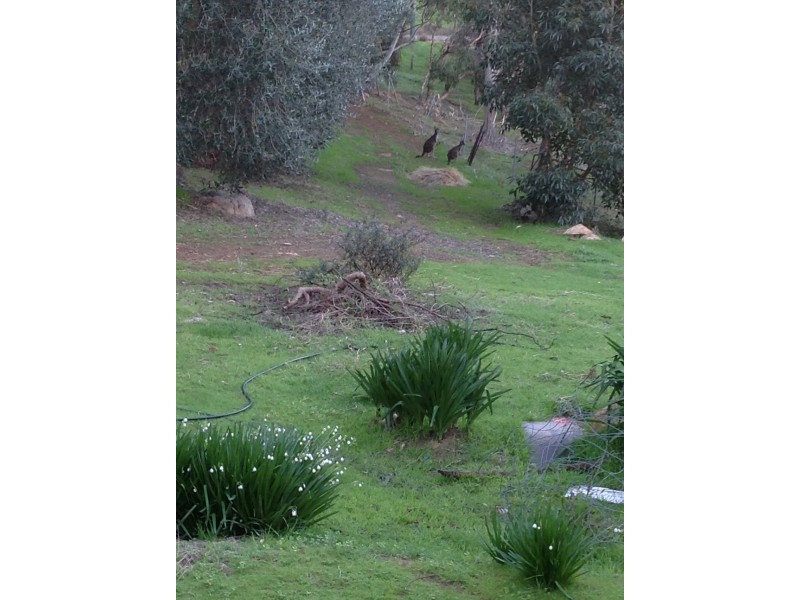 325 Kilnn Road, Karrakup WA 6122