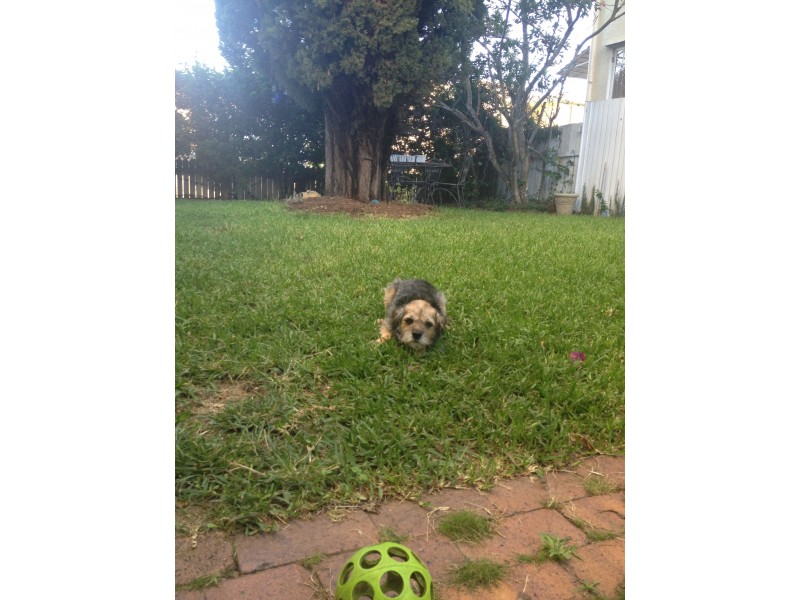 2/29 Barker Street, New Farm QLD 4005