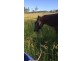 276-304 Sippels Road, Grandchester QLD 4340