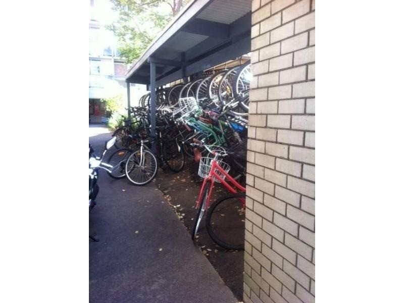 16/51 Hereford Street, Glebe NSW 2037