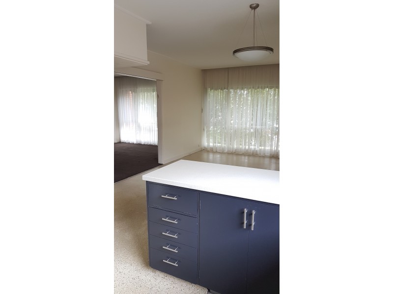 1/251 Glen Eira Road, Caulfield North VIC 3161