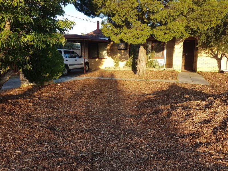 8 Hakea Road, Camillo WA 6111