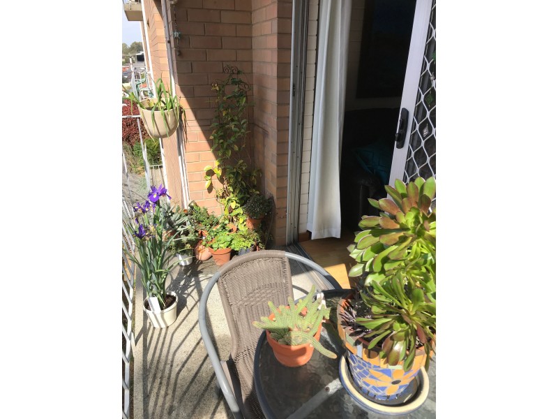 36/15 Glendower Way, Spearwood WA 6163