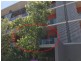 303/250 Farrar Boulevard, Johnston NT 0832